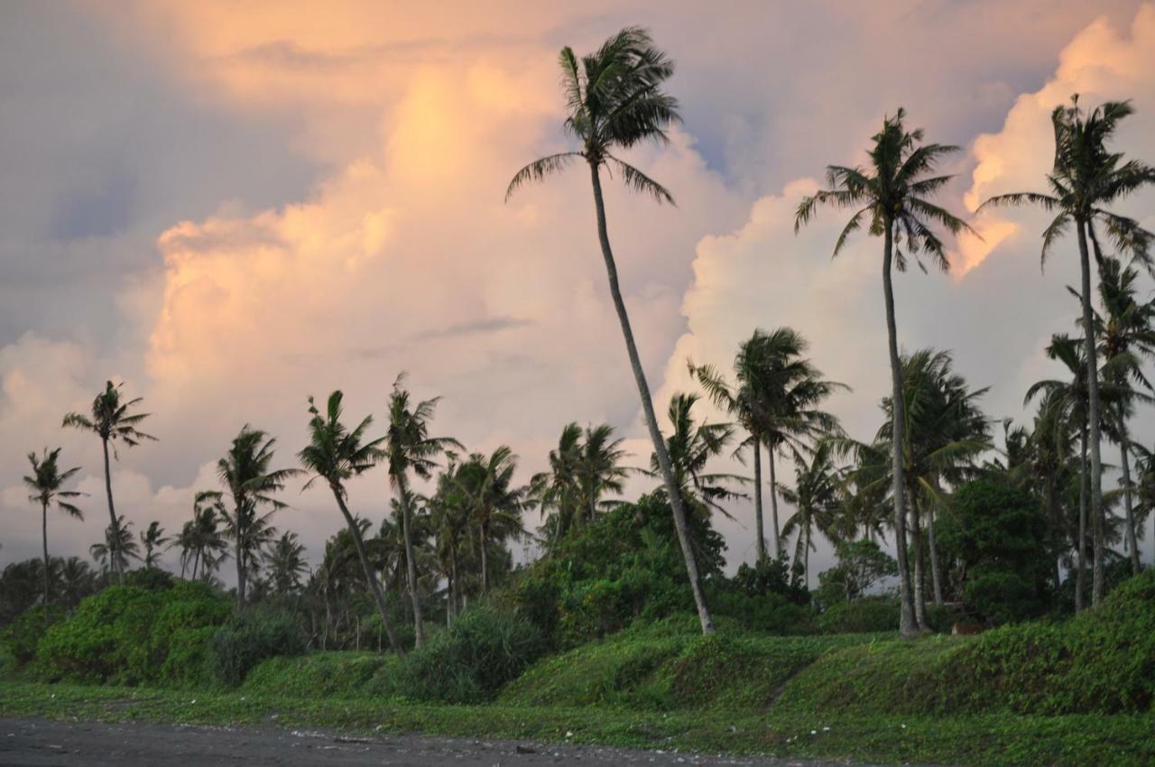 Seaside Tribe - Boutique Surf Stay & Retreat Tanah Lot Exteriér fotografie